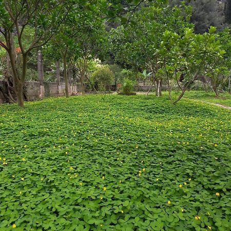 Yen Binh Homestay Ninh Binh Exterior foto