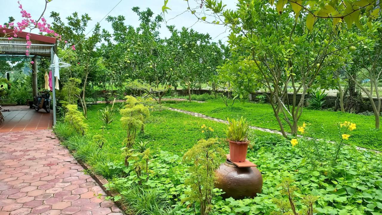 Yen Binh Homestay Ninh Binh Exterior foto