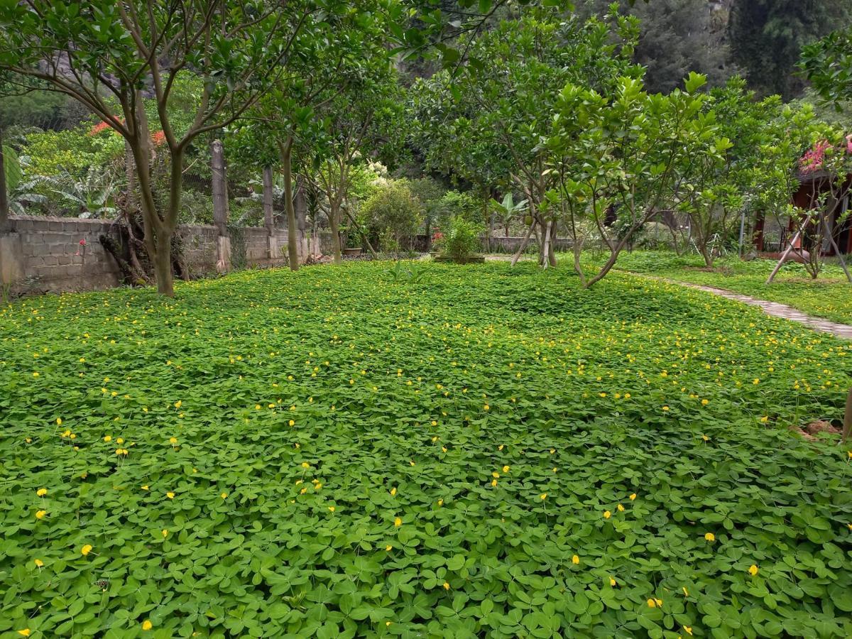 Yen Binh Homestay Ninh Binh Exterior foto