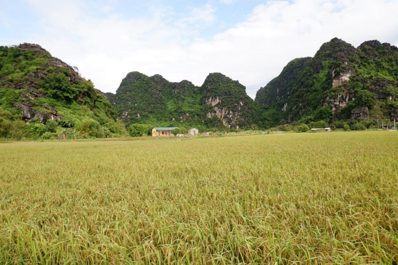 Yen Binh Homestay Ninh Binh Exterior foto
